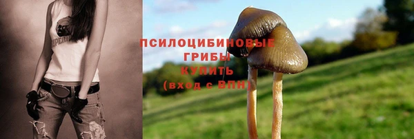 марки nbome Осинники