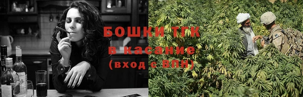 ALPHA PVP Остров